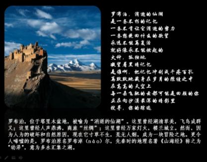 可怜猫的救援