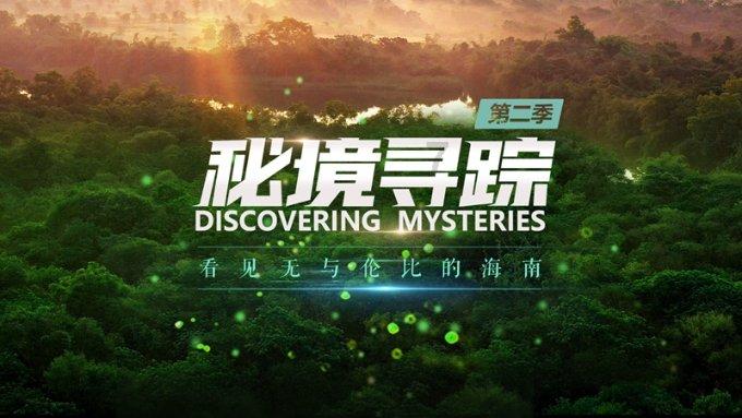 小孔雀逃脱